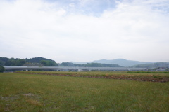 夏景　田園