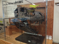 ティラノサウルス(T-REX)