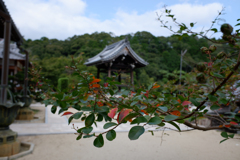 秋景　紅葉水端