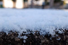 雪のお正月