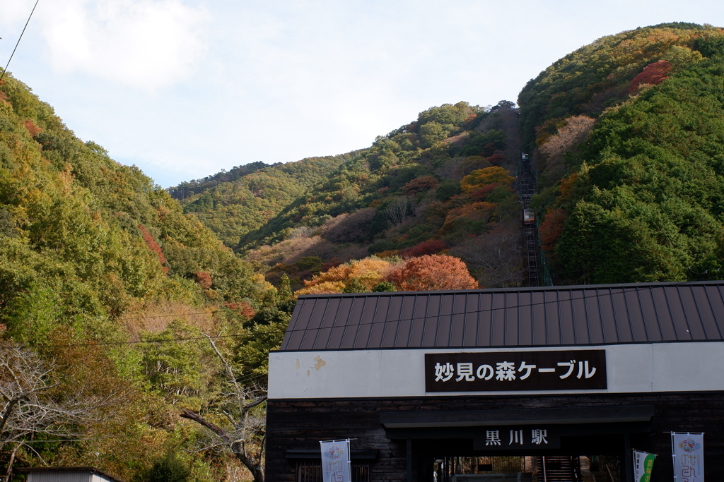 里山の紅葉(1)