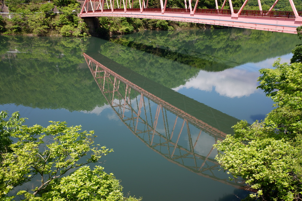 水鏡さくら橋02(2024-05-03)