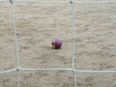 FUJIFILM HS20 EXR テスト撮影(18)