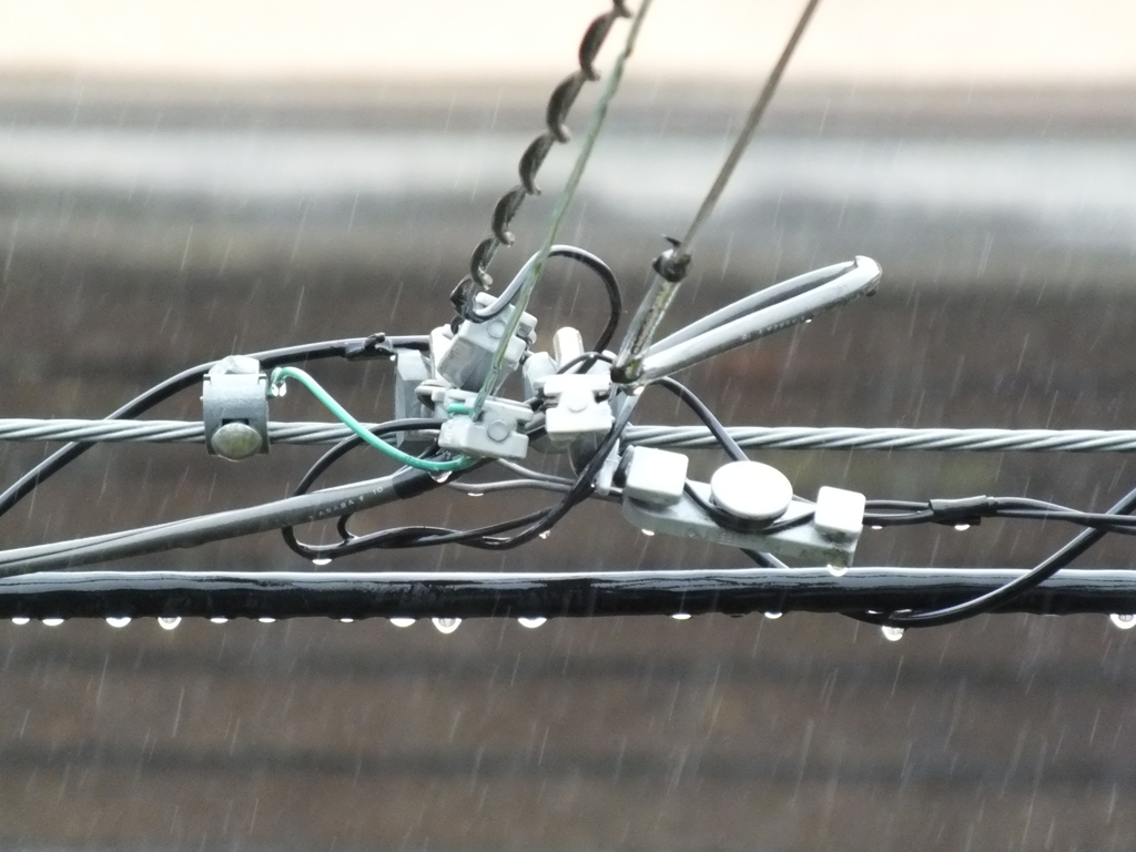 雨
