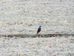 FUJIFILM HS20 EXR テスト撮影(5)