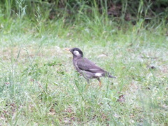 FUJIFILM HS20 EXR テスト撮影(15)