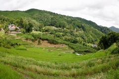 棚田100選　三草山～長谷の棚田(1)