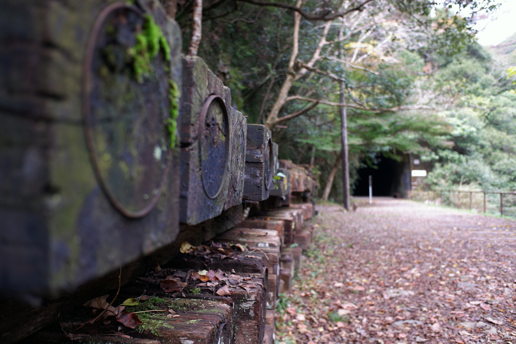 JR福知山線廃線敷(c)