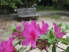 FUJIFILM HS20 EXR テスト撮影(6)