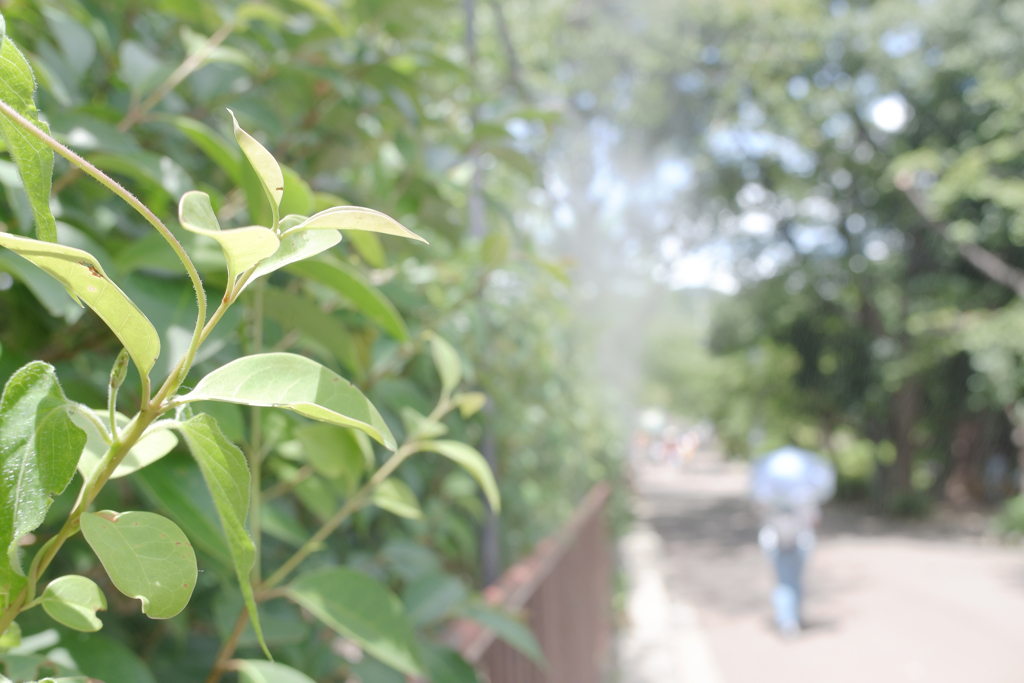ハイキーモードテスト　ミストクーラー