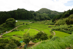 棚田100選　三草山～長谷の棚田(2)