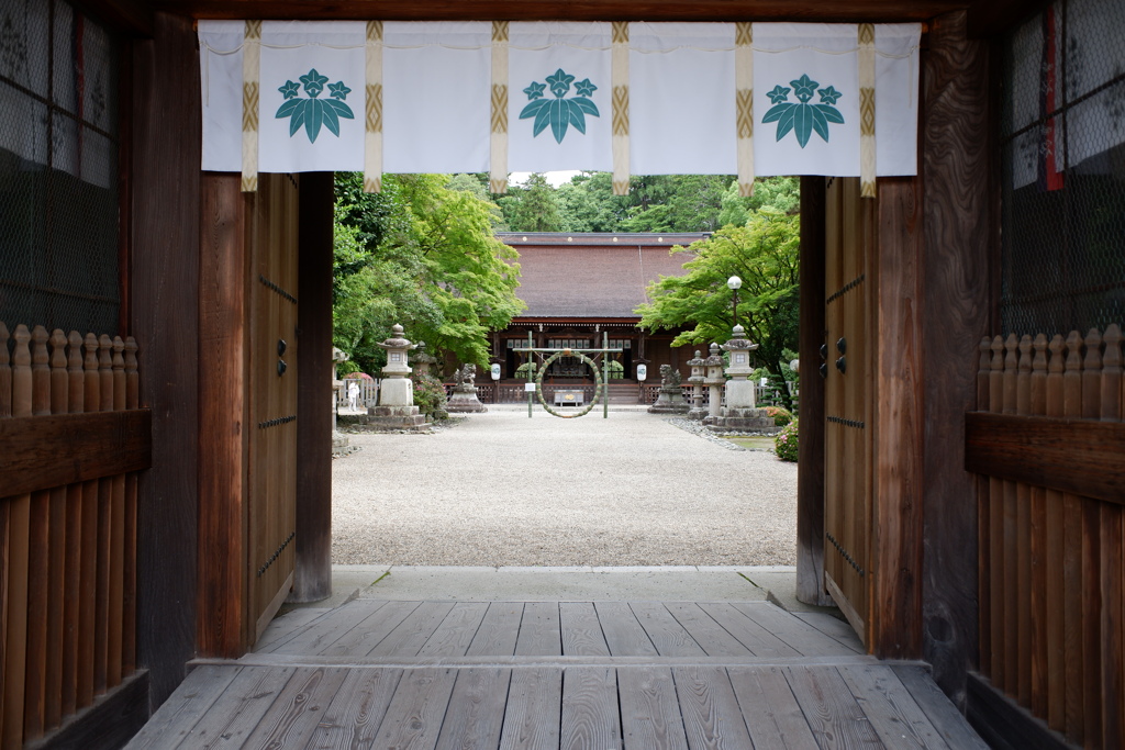 芽の輪くぐり(1)