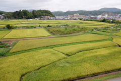 グラデーション