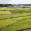 グラデーション