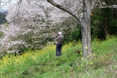 桜とカメラと御老人