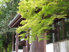 FUJIFILM HS20 EXR テスト撮影(1)