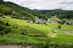 棚田100選　三草山～長谷の棚田(3)