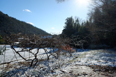 雪景色(2)