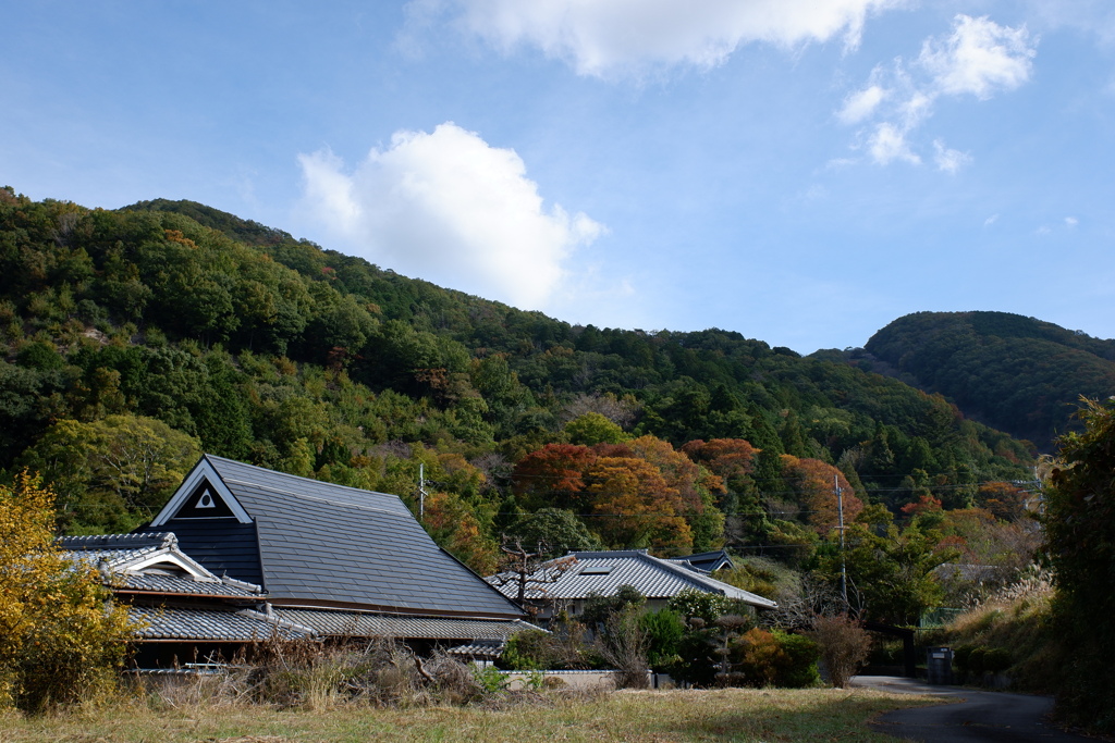 里山の紅葉(2)