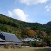 里山の紅葉(2)