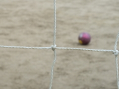 FUJIFILM HS20 EXR テスト撮影(19)