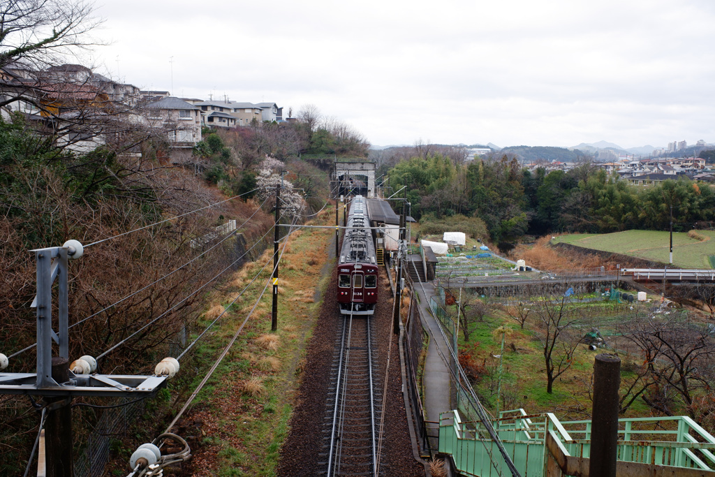 能勢電　マルーンカラー(b)