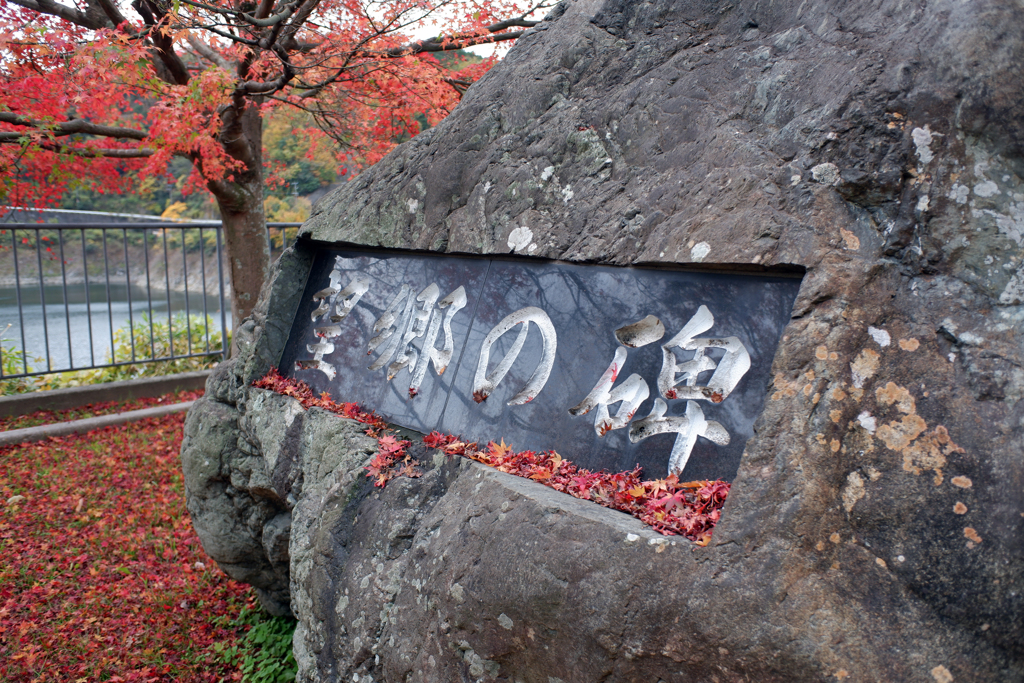紅葉(一庫ダム) e