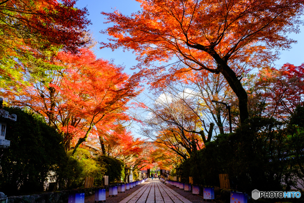 秋の石山寺参道