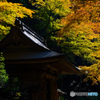 百済寺　〜湖東三山〜