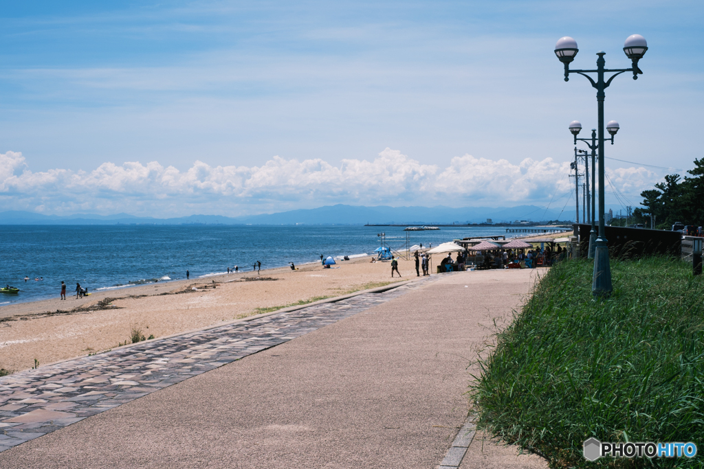 夏の千代崎海岸