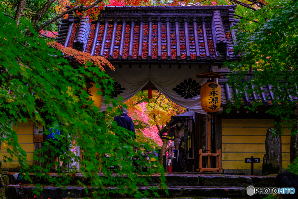 永源寺山門　〜滋賀〜