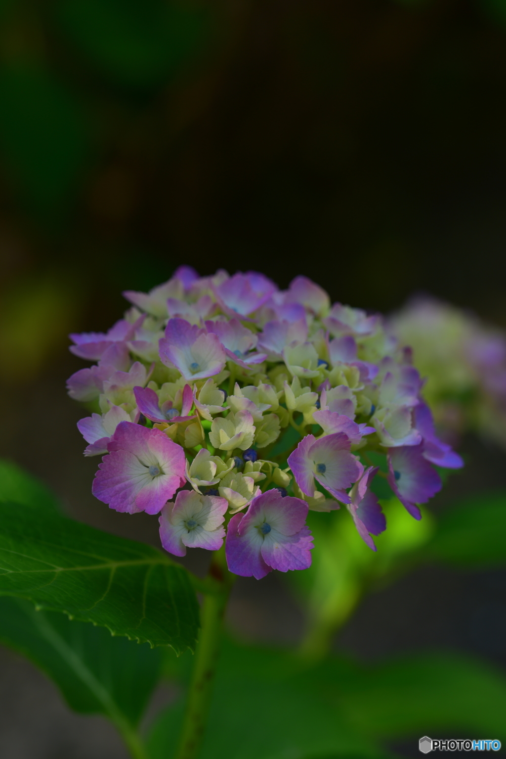 木陰で