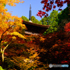 秋の金剛輪寺