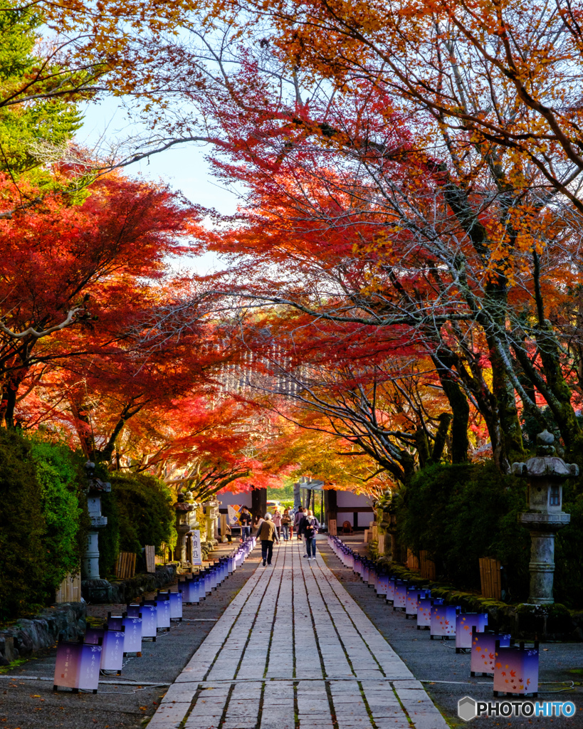 石山寺紅葉