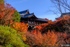 秋終盤の東福寺