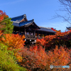 秋終盤の東福寺