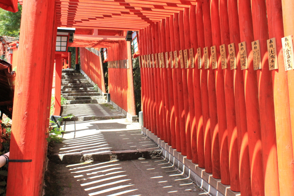 千本鳥居２