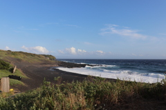 海