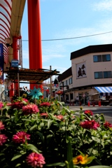 3AEE77BD-0ECD-4928-8E2F-2945822D172B