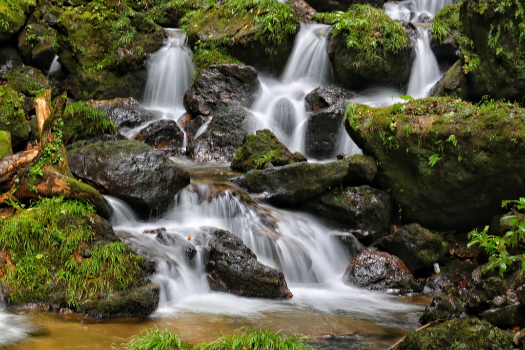 02736A77-8549-43F0-8A38-E479E9CBF5AA