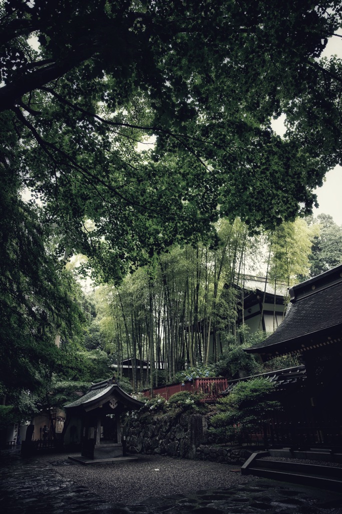 雨の日に来たかったところ