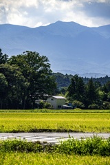 圧縮効果