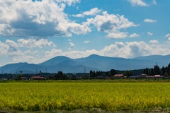 田園風景