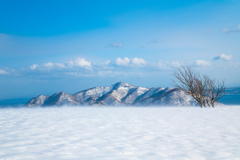 雪煙に浮かぶ紋別岳