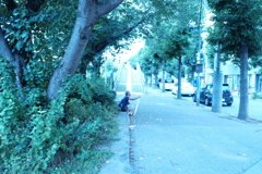 9F458932-46FF-4319-9538-1BAD6AEDEE06