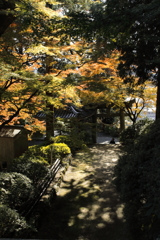 大興善寺1