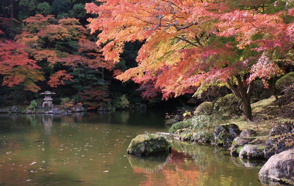 ●秋   景   色●