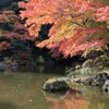 ●秋   景   色●
