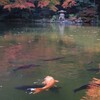 ●秋 景色●