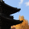 ●秋 景 色●